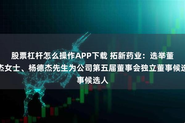 股票杠杆怎么操作APP下载 拓新药业:选举董红杰女士、杨德杰先生为公司第五届董事会独立董事候选人