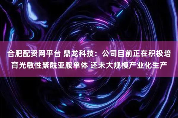 合肥配资网平台 鼎龙科技:公司目前正在积极培育光敏性聚酰亚胺单体 还未大规模产业化生产