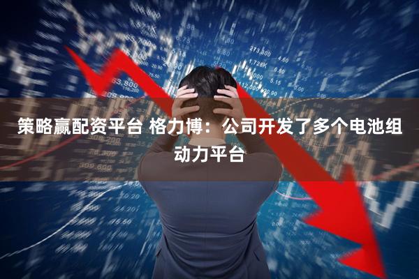 策略赢配资平台 格力博：公司开发了多个电池组动力平台